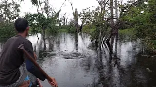 TIDAK PERDULI HUJAN PETIRRR... DARI JAUH SUDAH TERLIHAT PERGERAKAN IKAN TOMAN... HUJAN BERKAH...