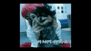 BTS- Tae and yeontan's flash of past moments