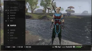 ESO: My 2020 Khajiit Magicka Necromancer PVE DPS Build, Mother's Sorrow, False God