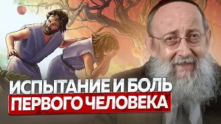 Испытание и боль первого человека. Рав Ашер Кушнир