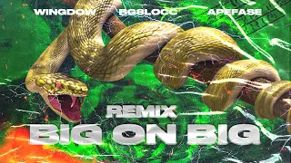 Wingdow & APEFASE - BIG ON BIG 高大上 (BG8LOCC BIG ON BIG REMIX)