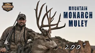 Mountain MULEY MONARCH