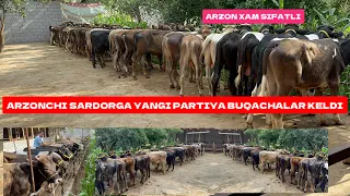 ARZONCHI SARDORGA ARZON SIFAT BUQACHALAR KELDI