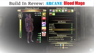 Build in Review: Arcane Blood Mage (Melee Based)