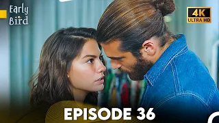 Daydreamer Full Episode 36 (4K ULTRA HD)