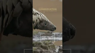 Branding Namibia Tourism One Film at a Time: Join the Conservation Film Foundation Movement