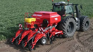 Agregat do uprawy pasowej, Strip-till, PSZCZOŁA