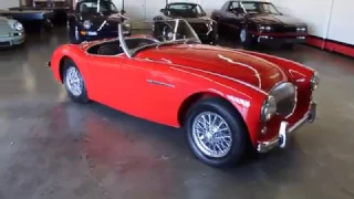 1955 Austin Healey 100-4 For Sale at GT Auto Lounge