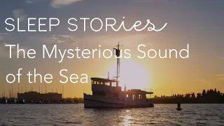 Calm Sleep Stories | The Mysterious Sound of the Sea | Trailer
