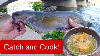 CATCH,CLEAN & COOK!! (CHANNEL CATFISH!)