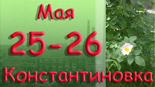 25 26 мая Константиновка Донецкая область Донбасс