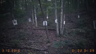 6 Most Disturbing Forest Findings Caught on Camera