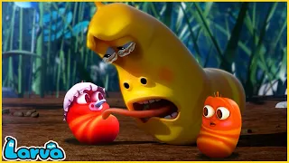 LARVA | DAD | CARTOON MOVIE FOR LIFE | THE BEST OF CARTOON | HILARIOUS CARTOON COMPILATION