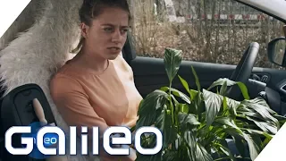 Darf ich in meinem Auto wohnen? | Galileo | ProSieben