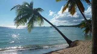 Club Med Les Boucaniers Martinique