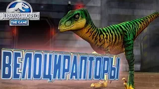 ВЕЛОЦИРАПТОРЫ - Jurassic World The Game #15