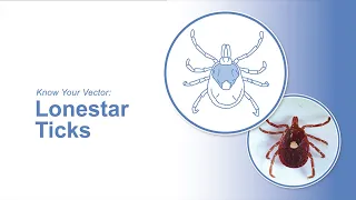 Know Your Vector: Lonestar Ticks