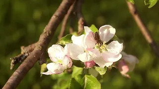 О кто я есть, я немощен и грешен