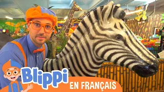 Blippi à la découverte des animaux de la jungle | Blippi en français |Vidéos éducatives pour enfants