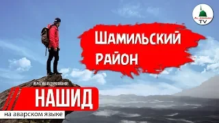 НАШИД 2020 l Ибрагим Абдурахманов l Назму "Шамильский Район" [Al Jannah TV]