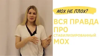 Стабилизированный мох. ВСЯ ПРАВДА.