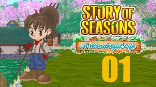 Story of Seasons: A Wonderful Life -1-