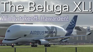 BRAND NEW AIRCRAFT! - BELUGA XL (A330-743L) WINDY DEPARTURE FROM HAWARDEN AIRPORT (CEG/EGNR) ✈️