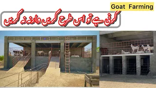 Goat Farming Kis Tarah Karen || Goat Farming ||