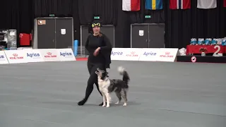 Alena Smolíková + Foxy - FCI Dog Dancing World Championship- 2.place in Heelwork to Music