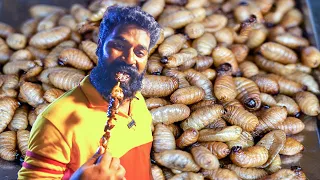 പുഴുവിനെ കഴിക്കാൻ തായ്‌ലാന്റിലേക്ക് | Eating Larva | M4 Tech |