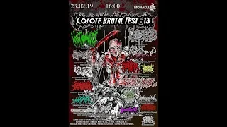 Datura COYOTE BRUTAL FEST-13 ч2