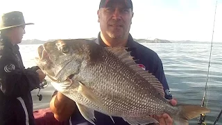 Live baiting Mac's for Big Reds in the far North - Early morn livebait sesh