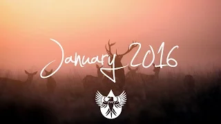 Indie/Pop/Folk Compilation - January 2016 (1-Hour Playlist)