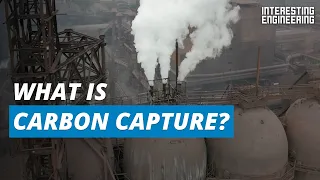 How do we remove CO2 from the atmosphere? | Changing the climate