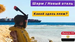 Египет. Шарм эль Шейх. Parrotel Lagoon обзор пляжа, какое здесь море? Как тут сейчас отдыхать?