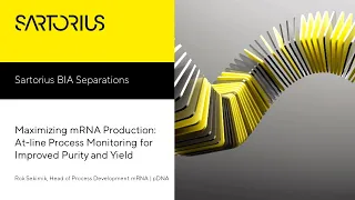 Maximizing mRNA Production: At-line Process Monitoring for Improved Purity and Yield