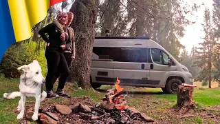 TREKKING WITH A LOCAL GUIDE // STRAY DOGGOS IN ROMANIA