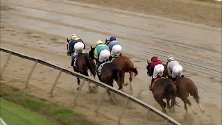 PIMLICO 05 18 2024 RACE 14