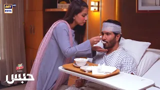 #Habs Episode 21 | Best Moment | Feroze khan & Ushna Shah | #ARYDigital