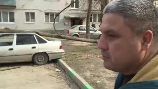 В Казани на автомобиль рухнуло дерево