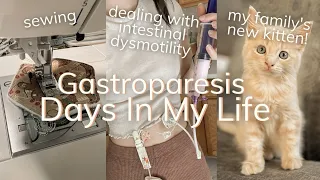 intestinal motility issues, new kitten, sewing for christmas restock | gastroparesis days in my life