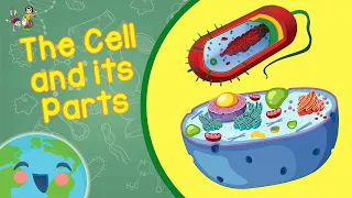 The Cell For Kids - The Cell and its Parts (Learning Videos For Kids)