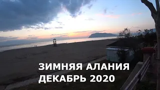 🇹🇷 ALANYA Прогулка в декабре Встретил зрителей Алания Турция 2020