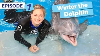 Snack Time With Winter! - Winter the Dolphin: Saving Winter - Episode 7