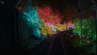 2023 Bright Nights in Stanley Park: Virtual Experience