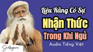 Liệu Có Sự Nhận Thức Trong Khi Đang Ngủ | 𝐒𝐚𝐝𝐡𝐠𝐮𝐫𝐮 𝐓𝐢𝐞̂́𝐧𝐠 𝐕𝐢𝐞̣̂𝐭 𝐓𝐡𝐮𝐲𝐞̂́𝐭 𝐌𝐢𝐧𝐡 🌿