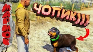 Чопик)/ Мармок #3 Будние дни в GTA 5