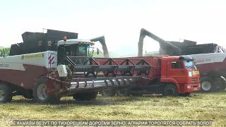 Старт страды-2023. ПАО им.С.М.Кирова (АПК "Кубаньхлеб")