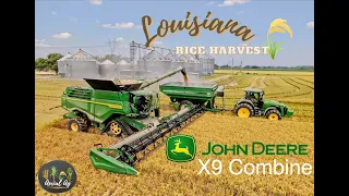 John Deere X9 Combine Harvesting Rice 4K