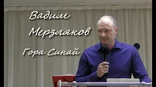 Вадим Мерзляков - Гора Синай, 25.08.2019